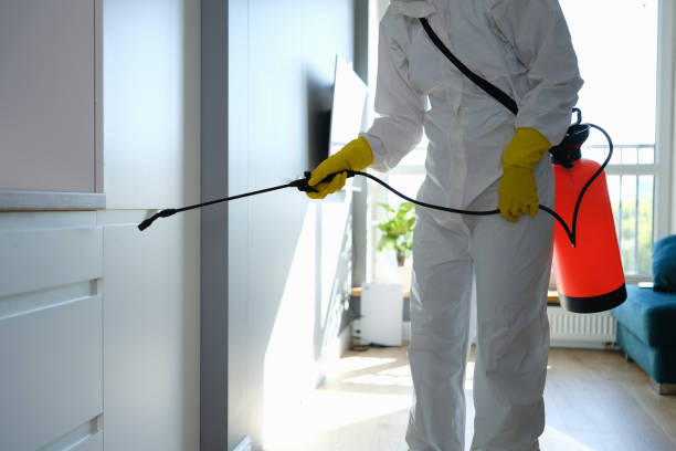 Why You Should Choose Our Mold Remediation Services in Lake Linden, MI